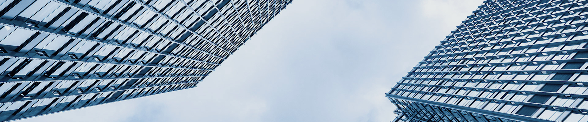Company Profile